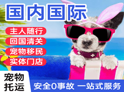 伊春林都航空快运国际宠物托运 【国